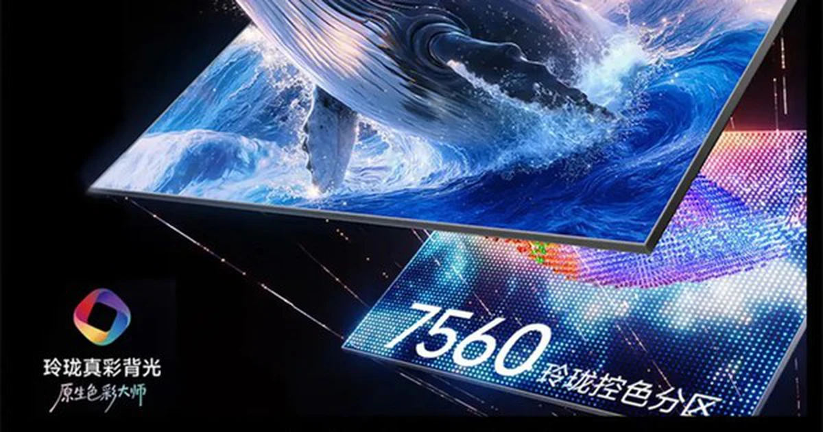 avatar1773393453454 1773393454782583119403