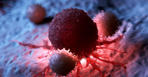 avatar1773395310965 1773395311751500172789 0 0 419 800 crop 1773395366582673767601