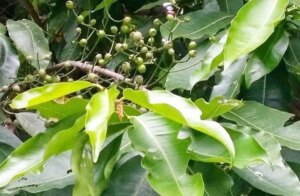 avatar1773456749905 17734567501851876642221