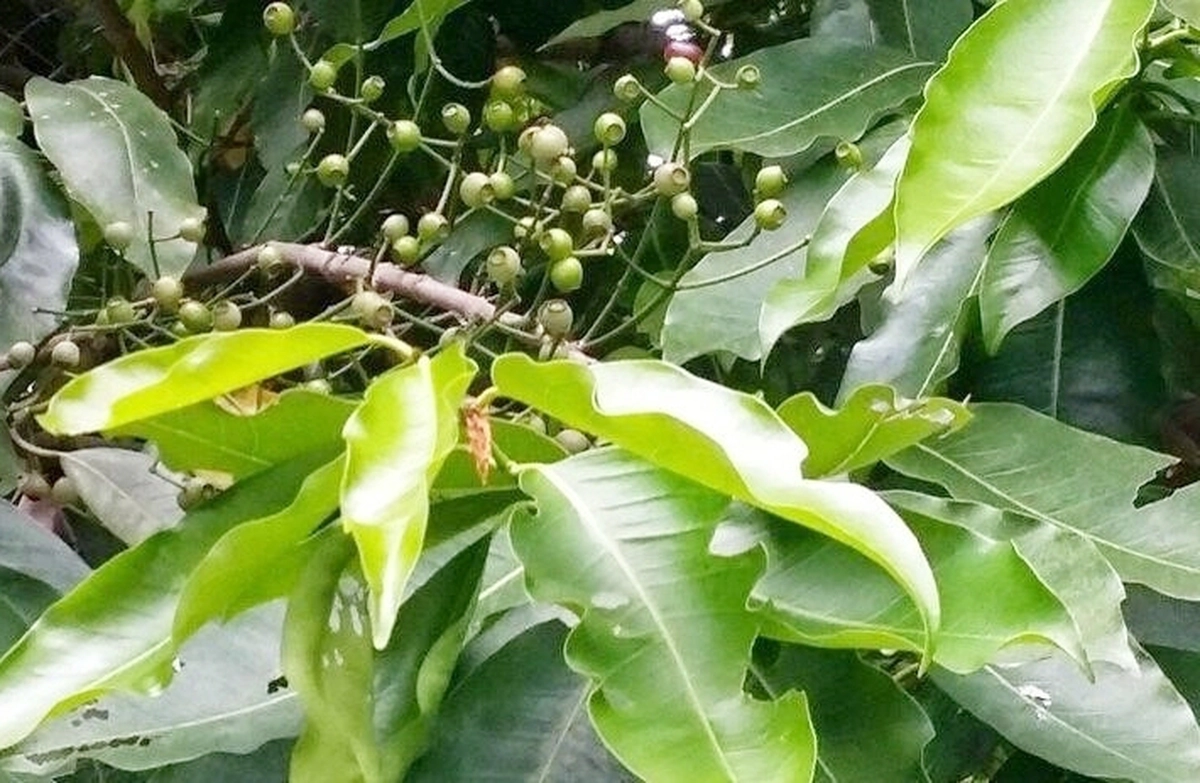 avatar1773456749905 17734567501851876642221