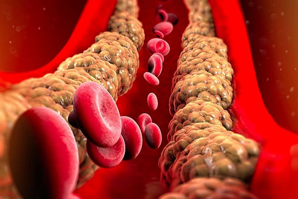 avatar1773577018619 17735770189421637095221