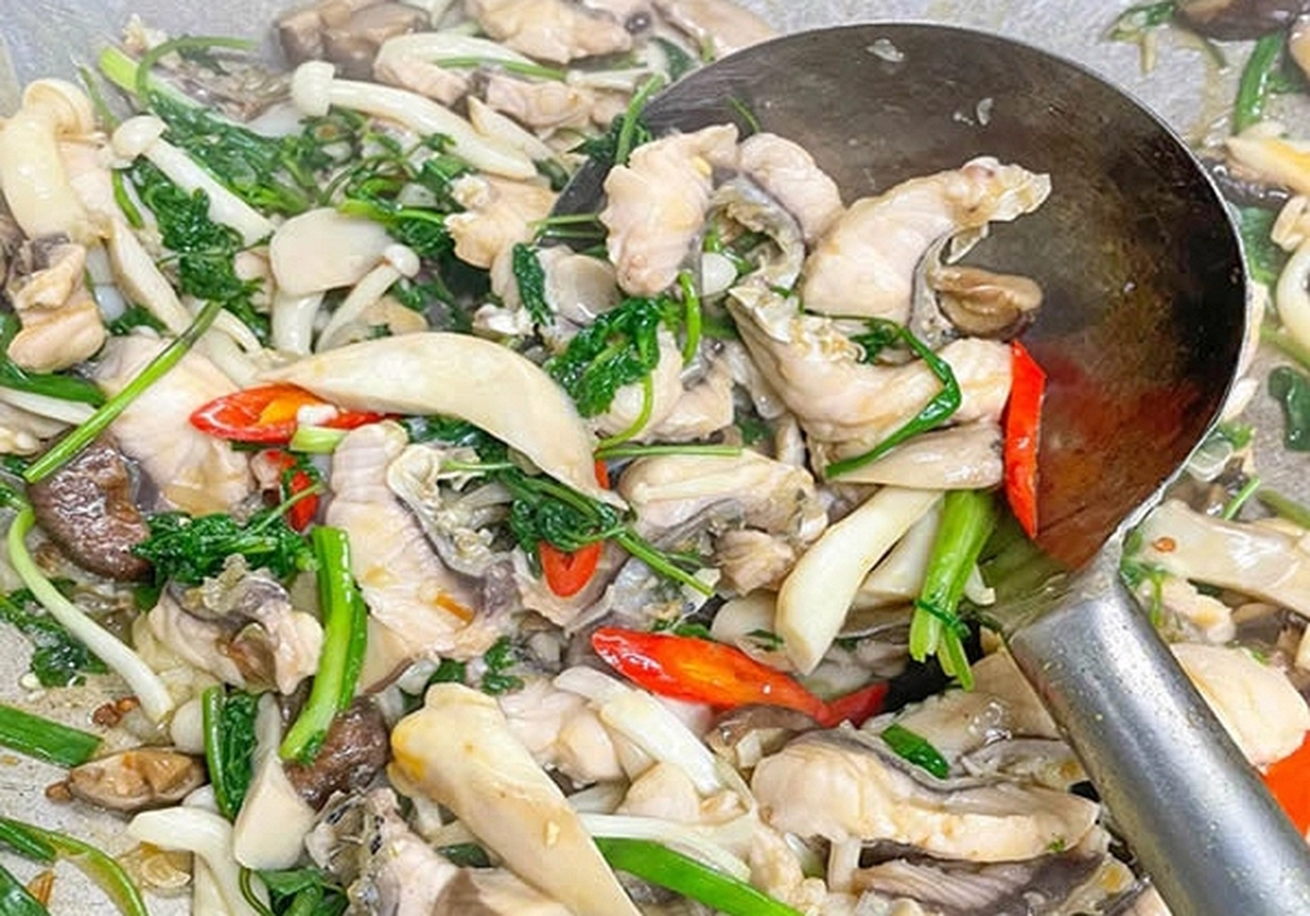 avatar1773620702549 17736207031701730846548