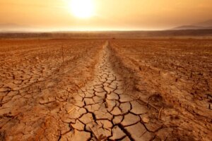 avatar1773623348077 1773623348940736403663