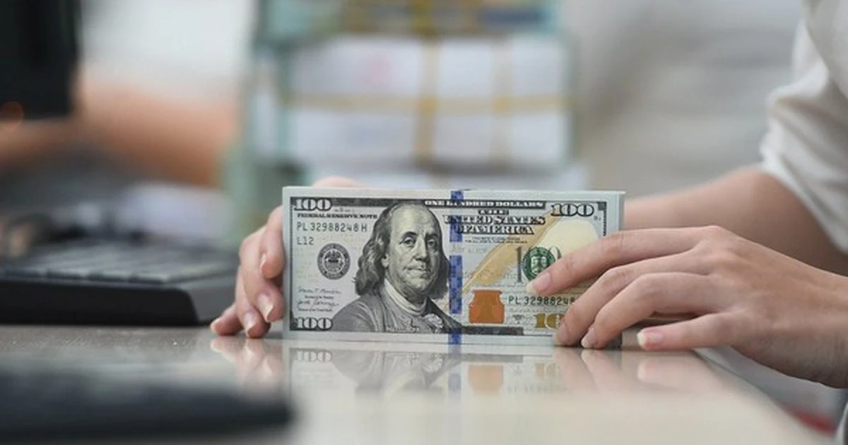 avatar1773629368926 1773629369474230119113