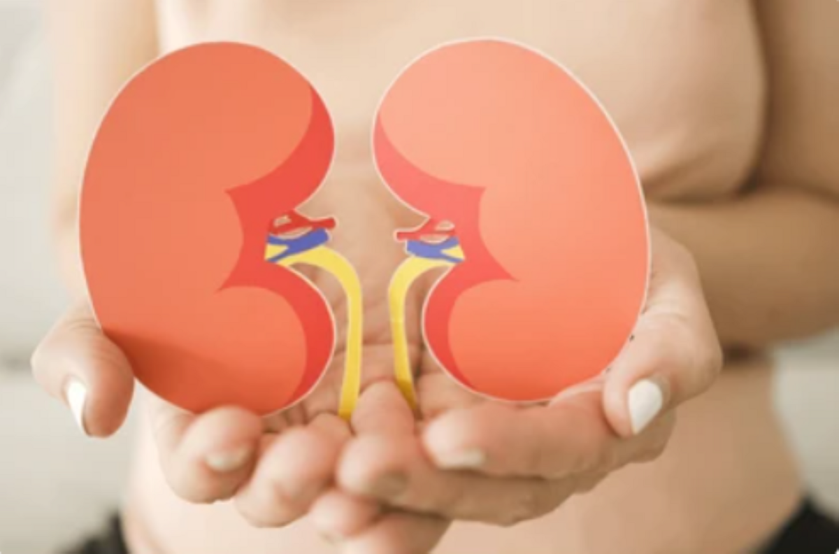 avatar1773662592060 1773662592632390150162