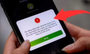 avatar1773713323397 1773713324595346273645