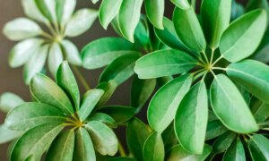 avatar1773718278566 17737182794711173128869