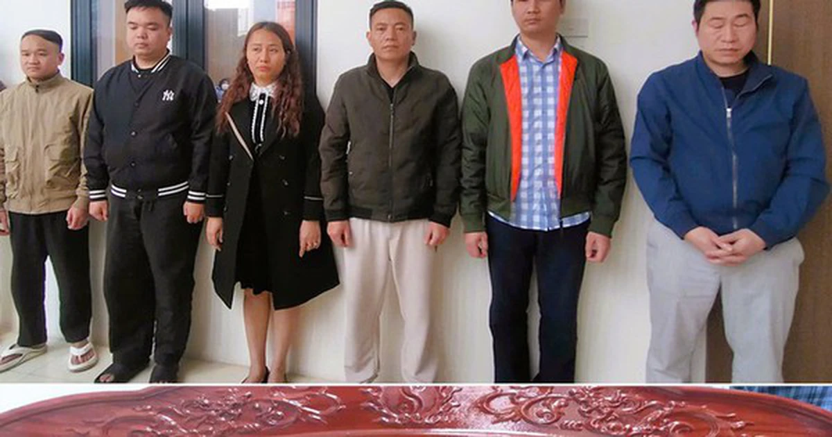 Avatar1773726258619 17737262591001300688412