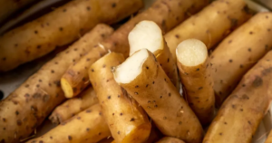 avatar1773738114500 17737381148531706941495