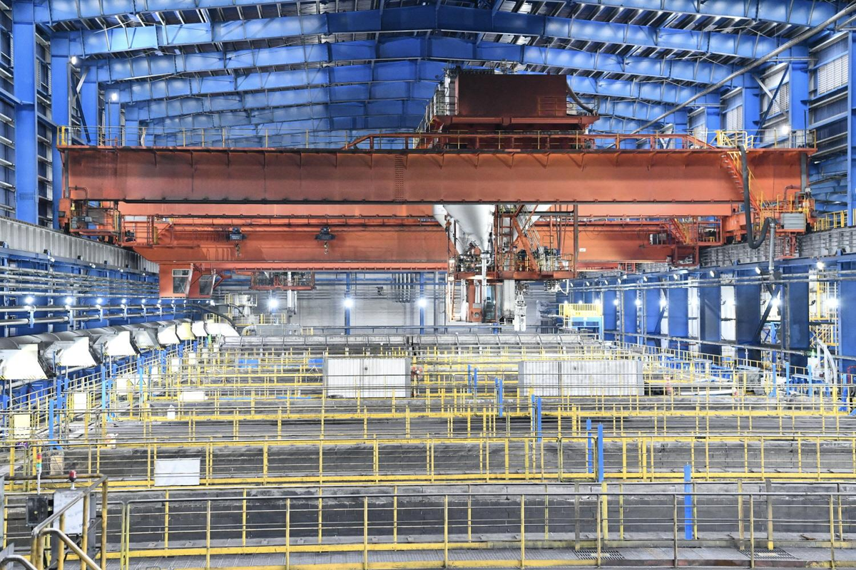 avatar1773763175415 17737631757681567319555