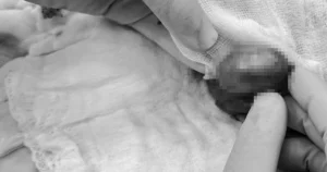 avatar1773817449088 17738174495111221606827.webp