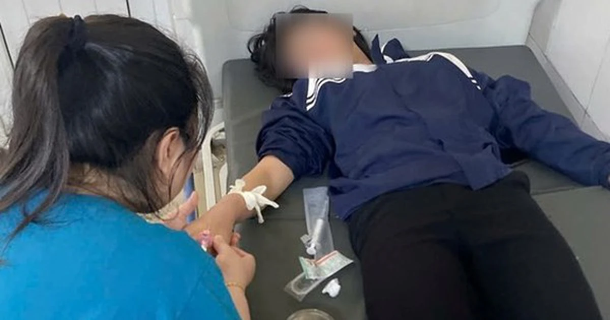 avatar1773822547933 17738225490391360559521