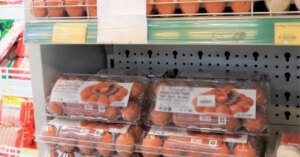 avatar1773840624447 17738406251241104467053