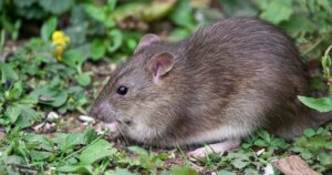 avatar1773885505714 1773885506211213364886