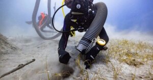 avatar1773903859238 17739038598241281190722 0 0 314 600 crop 17739038820192056429173