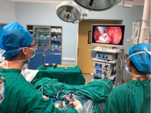 avatar1773906085874 1773906086211416117859