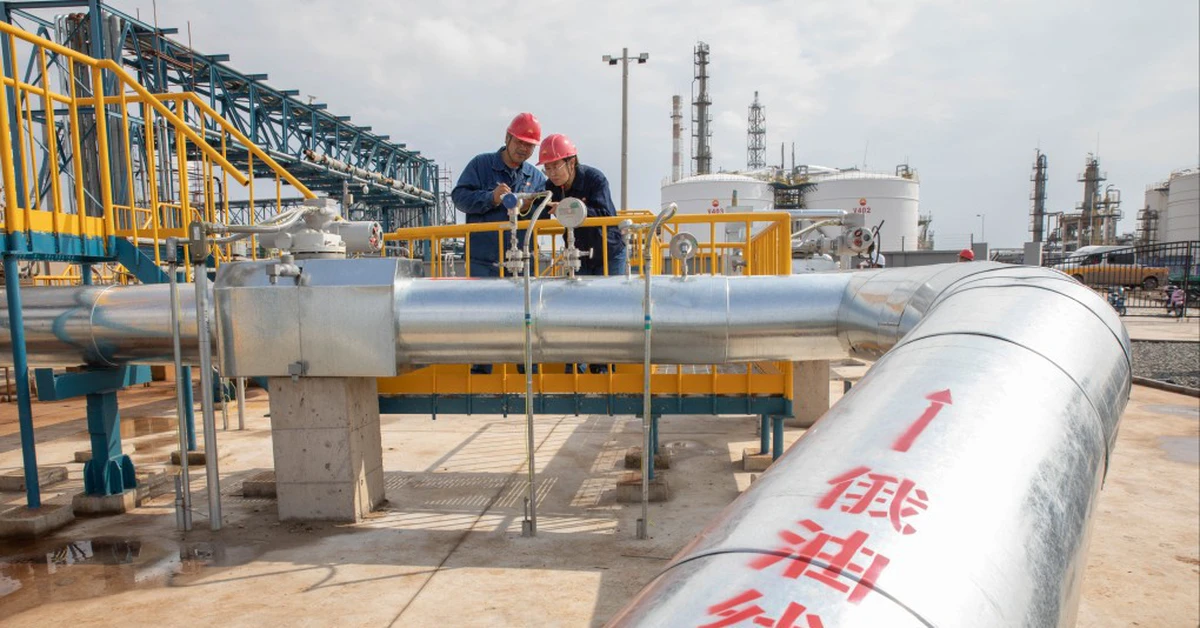 avatar1773995081401 1773995082013575014544 0 0 534 1020 crop 17739951102031988573633