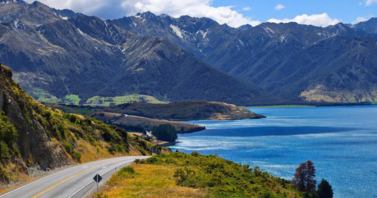 avatar1773998780051 17739987808331449339074