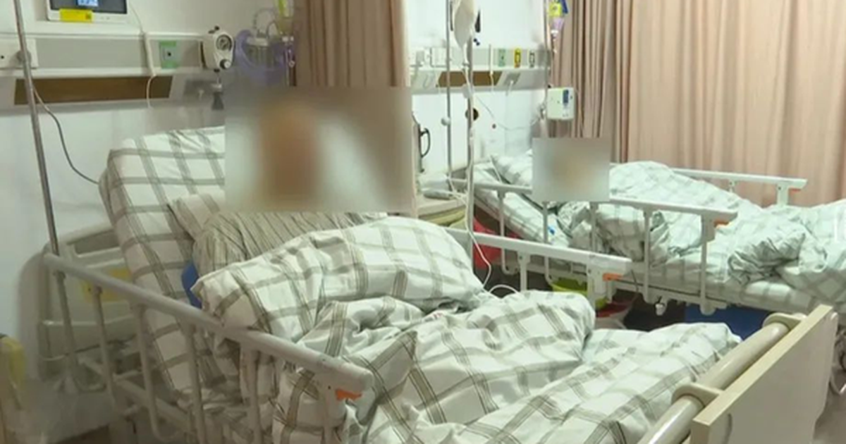 avatar1774009519638 17740095206111092120284