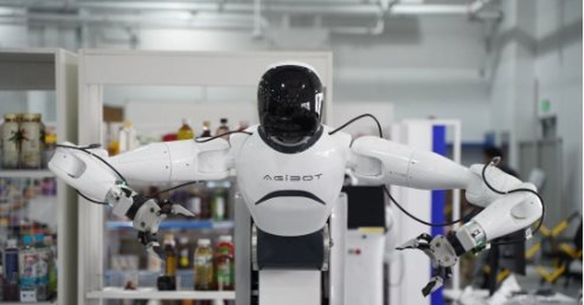 avatar1774013175218 1774013205286483510597 0 0 258 493 crop 17740132433811066231170