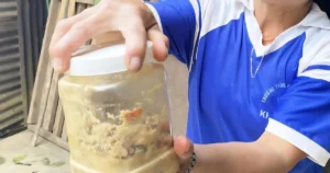 avatar1774048575569 17740485768831269120724.webp