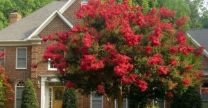 avatar1774061180365 1774061180843976144176 0 0 314 600 crop 17740613021221914079393