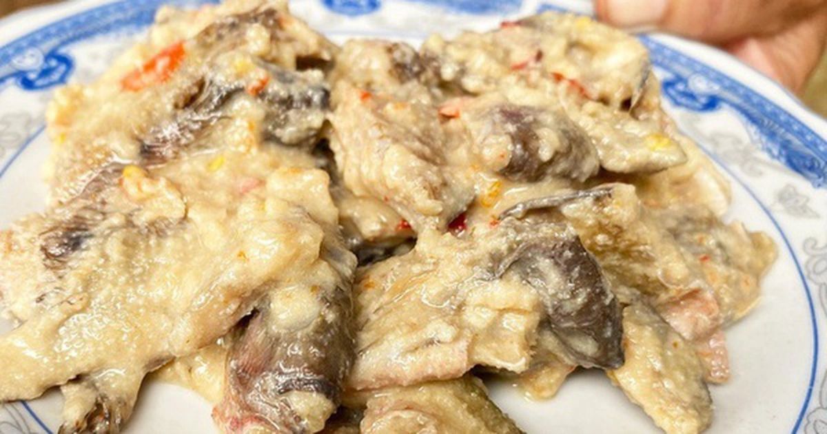 avatar1774063599295 17740635996891500411835