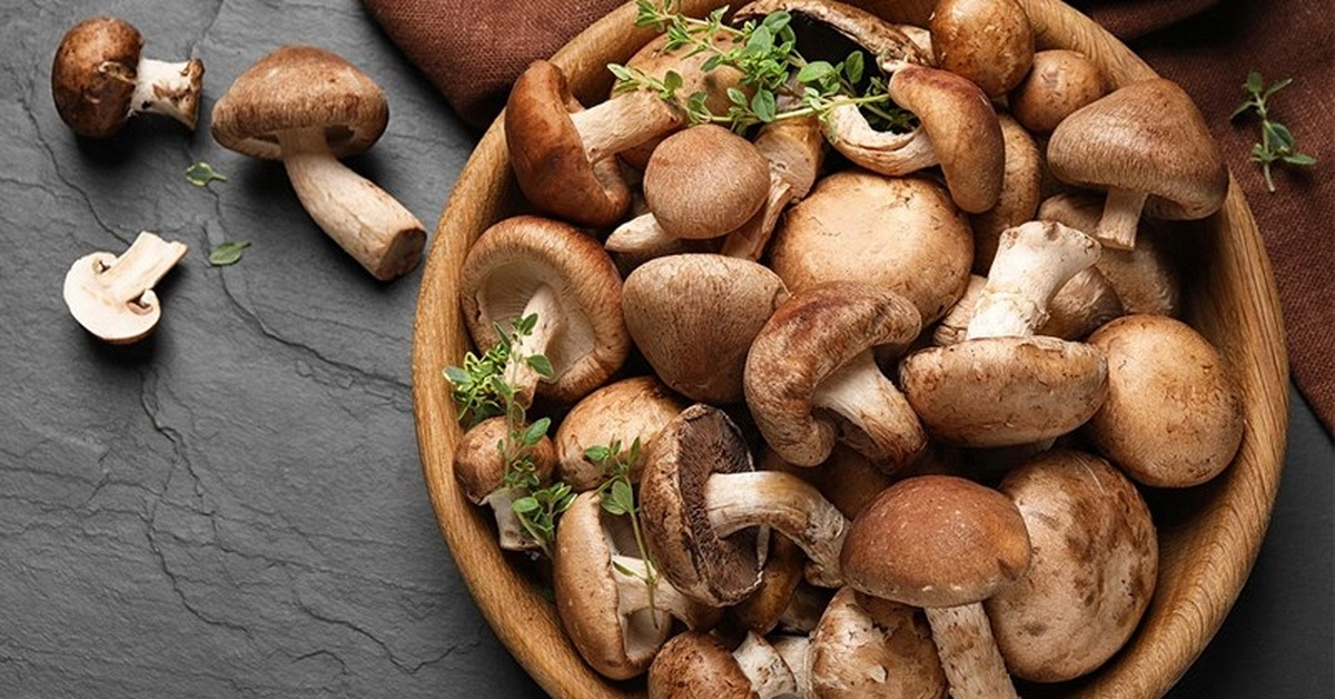 avatar1774067441520 1774067441845613209846