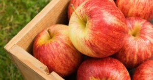 avatar1774140171599 17741401754031386048778