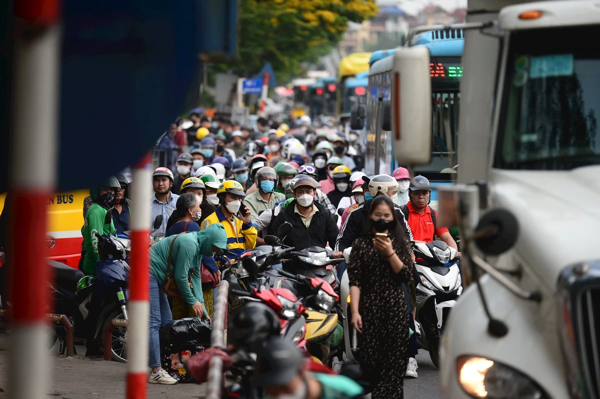 avatar1774152184903 1774152185146963716795