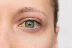 avatar1774239358688 17742393590041010046798