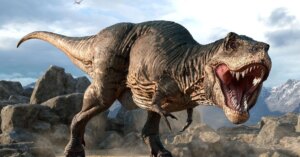 avatar1774254962327 17742549625861642978825 0 0 629 1200 crop 17742549789071617633398