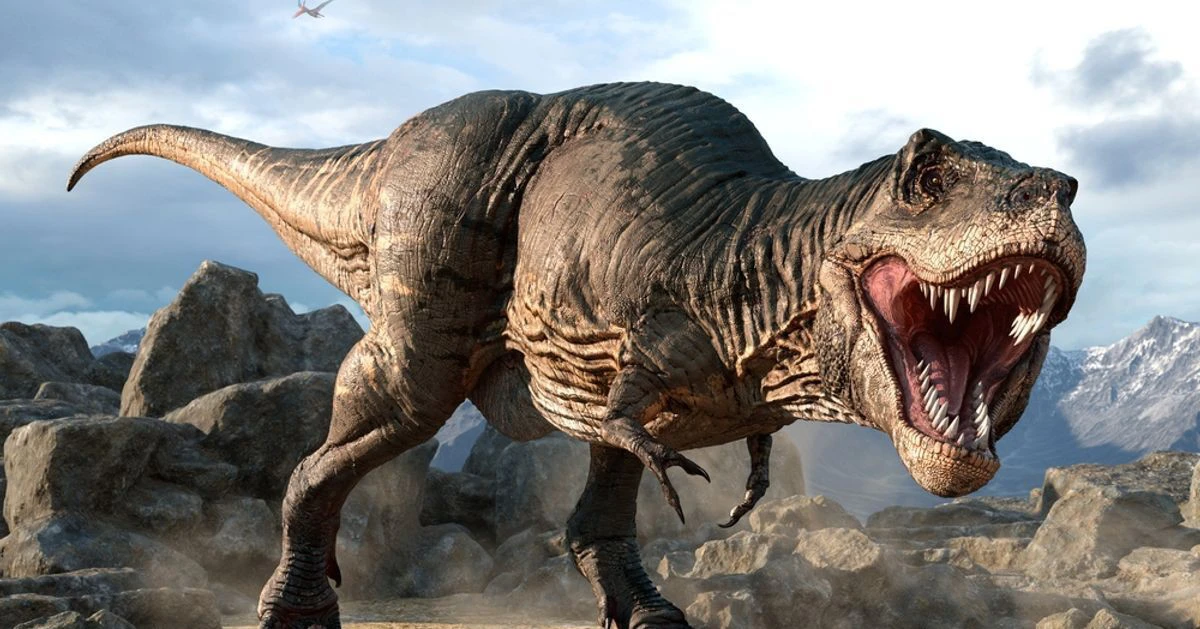 avatar1774254962327 17742549625861642978825 0 0 629 1200 crop 17742549789071617633398