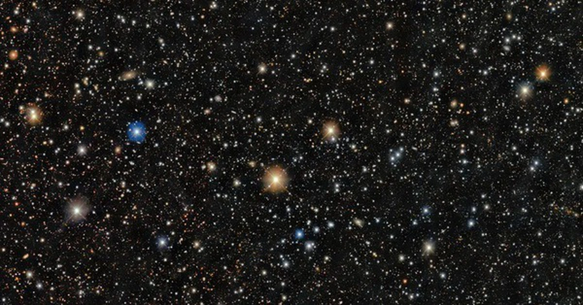 avatar1774255069612 1774255069902238683122 1 0 315 600 crop 1774255089043504288356