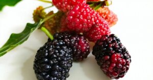 avatar1774257366732 1774257367059215516813