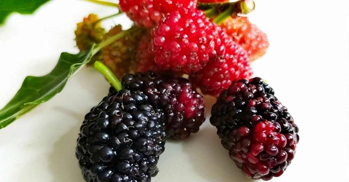 avatar1774257366732 1774257367059215516813