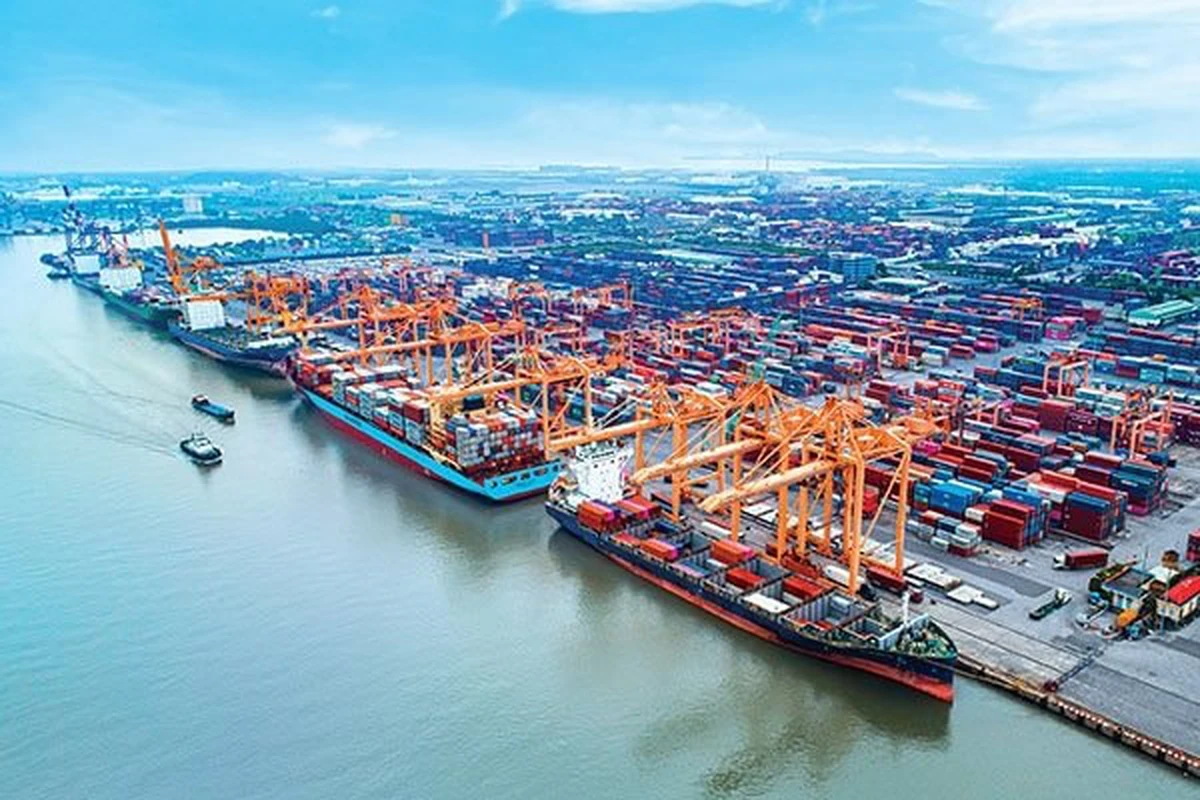 avatar1774263940163 17742639419731907311970