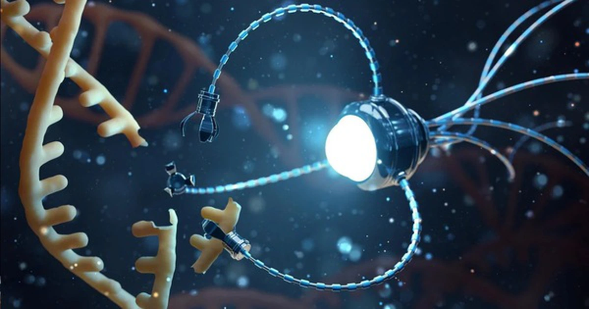 avatar1774337368638 17743373695842057133282