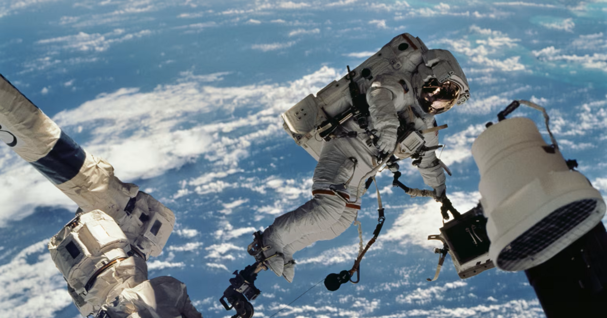 avatar1774339475540 1774339475934202040090 0 0 629 1200 crop 17743395048381728590312