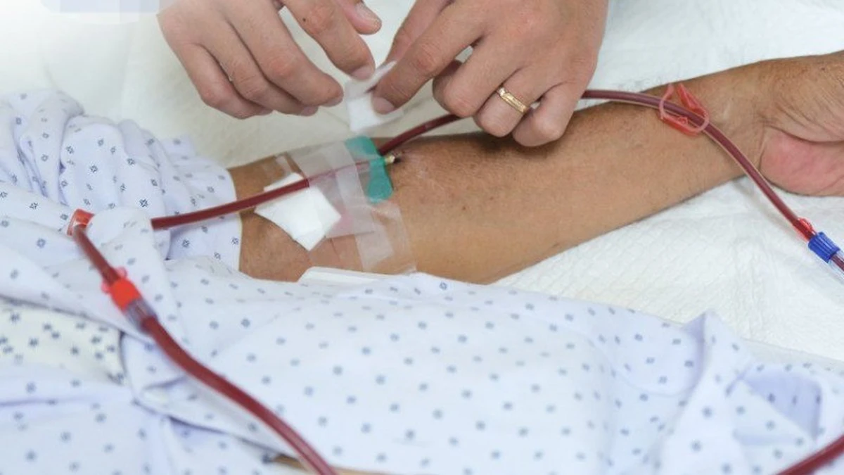 avatar1774395085217 17743950858281578133849