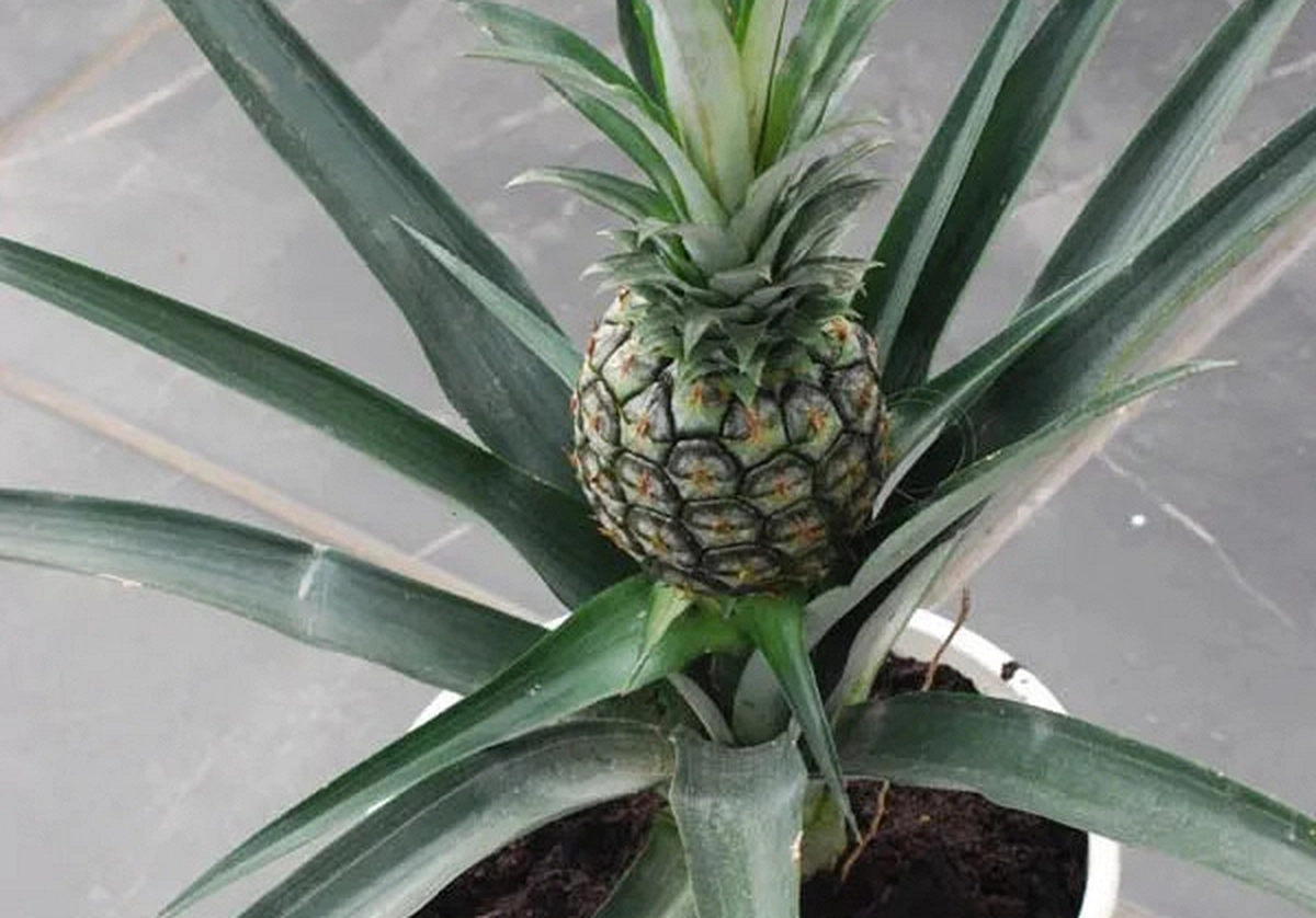 avatar1774400749414 17744007498231073286567