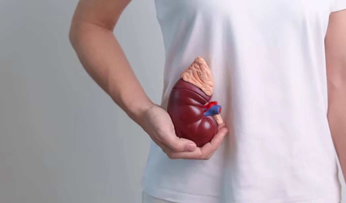 avatar1774427287929 1774427288197678409027