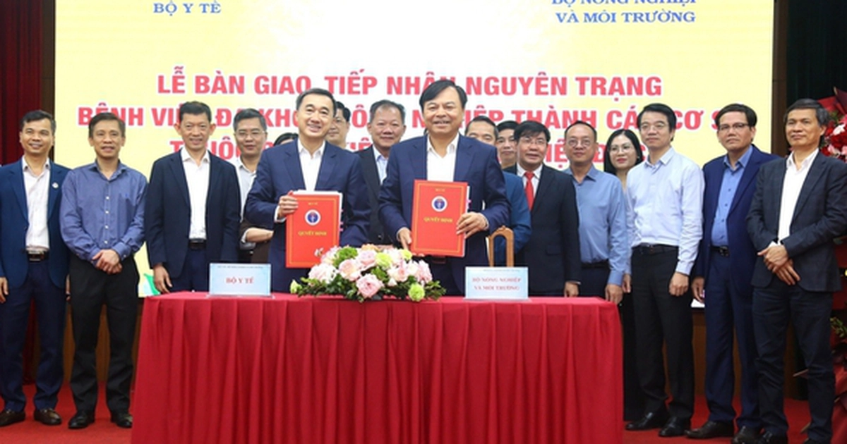 avatar1774430261257 17744302625622092835717