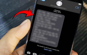 avatar1774430956456 17744309580231795416393