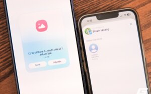 avatar1774440317987 17744403187001491779990 16 0 954 1500 crop 17744403585111817551381