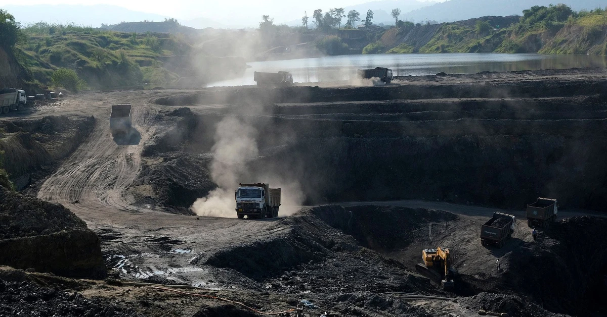 avatar1774446080395 17744460831671130251157 193 0 1198 1920 crop 1774446101916397672615