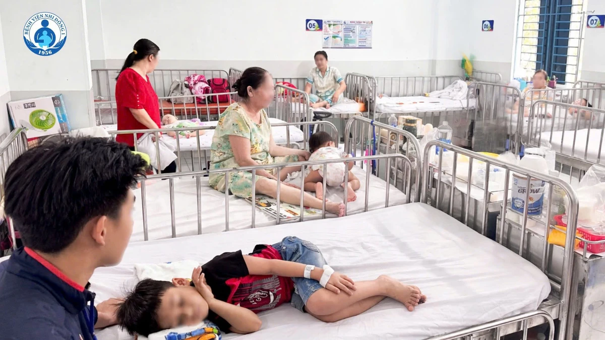 avatar1774493199231 17744932000001604538382