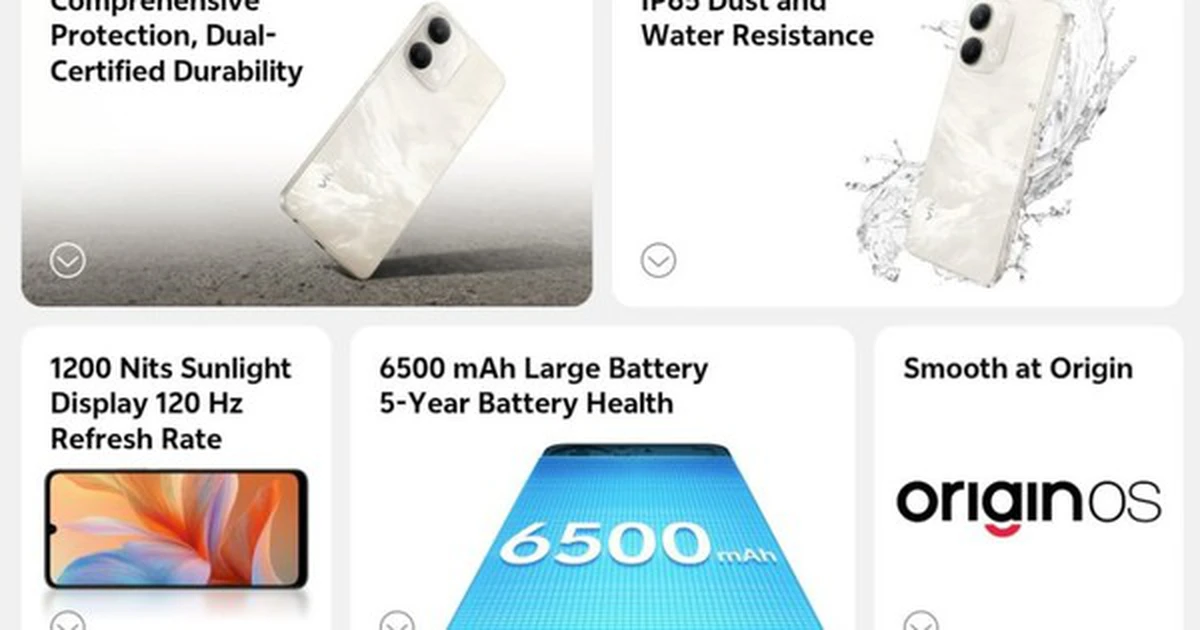 avatar1774504547904 1774504548798149580586