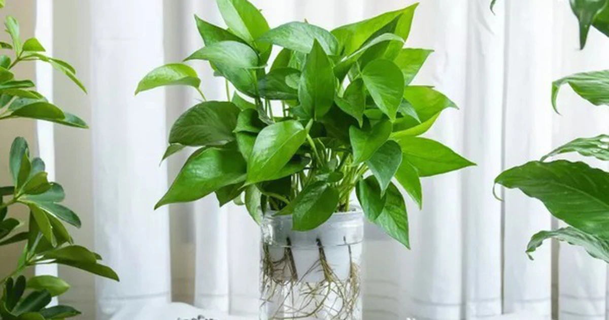 avatar1774515183578 1774515184448238191955