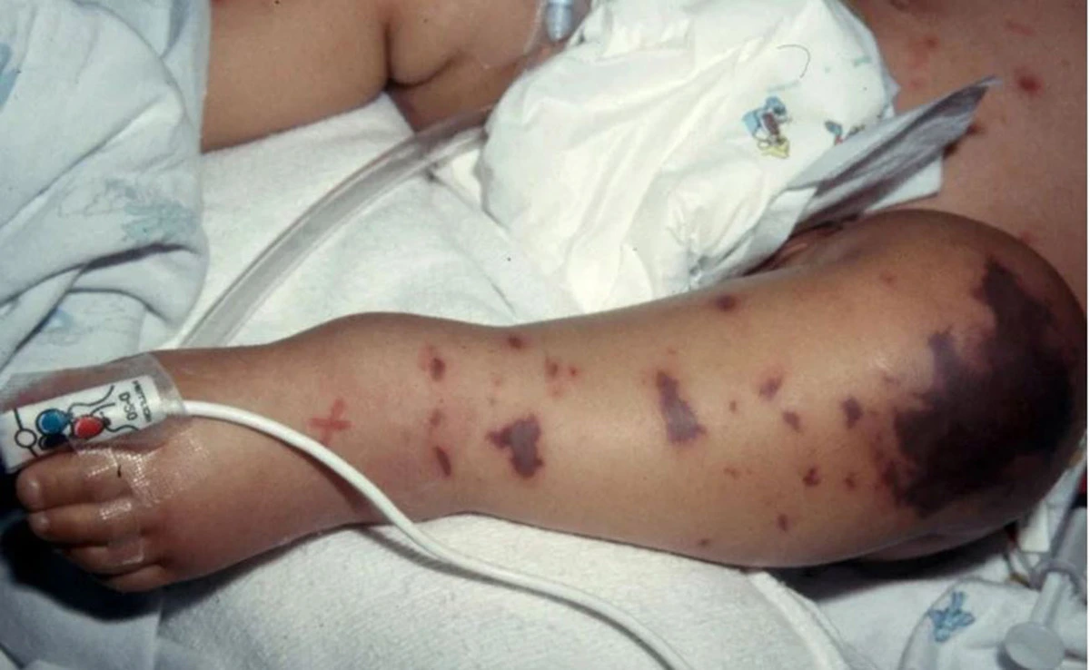 avatar1774570095212 17745700954601260239821